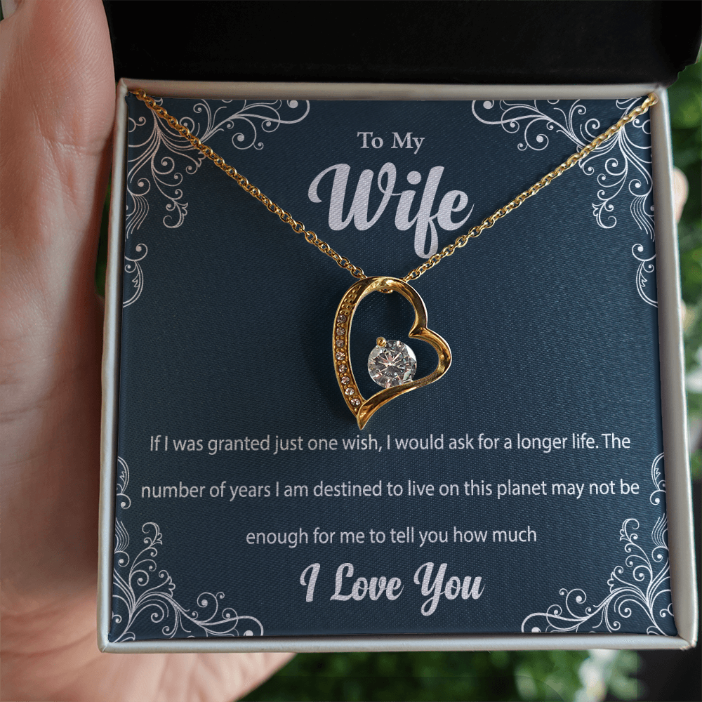 One Wish Necklace