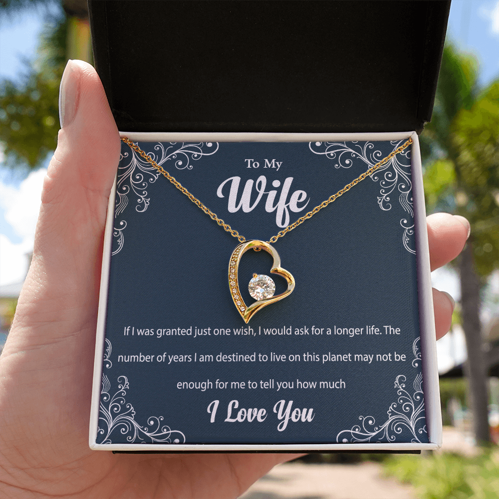 One Wish Necklace